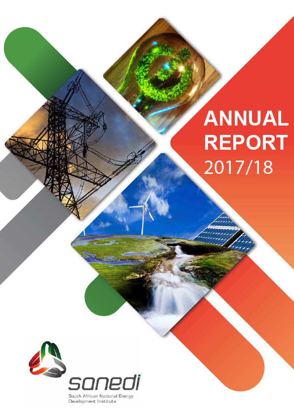 SANEDI AR2018 cover